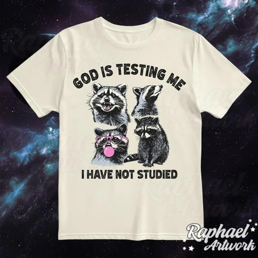 God Is Testing Me And I Have Not Studied Vintage Shirt, Funny Silly Racoon Tshirt, Oversized Unhinged 90s Graphic Tee, Retro Weirdcore Cotton Menswear Top