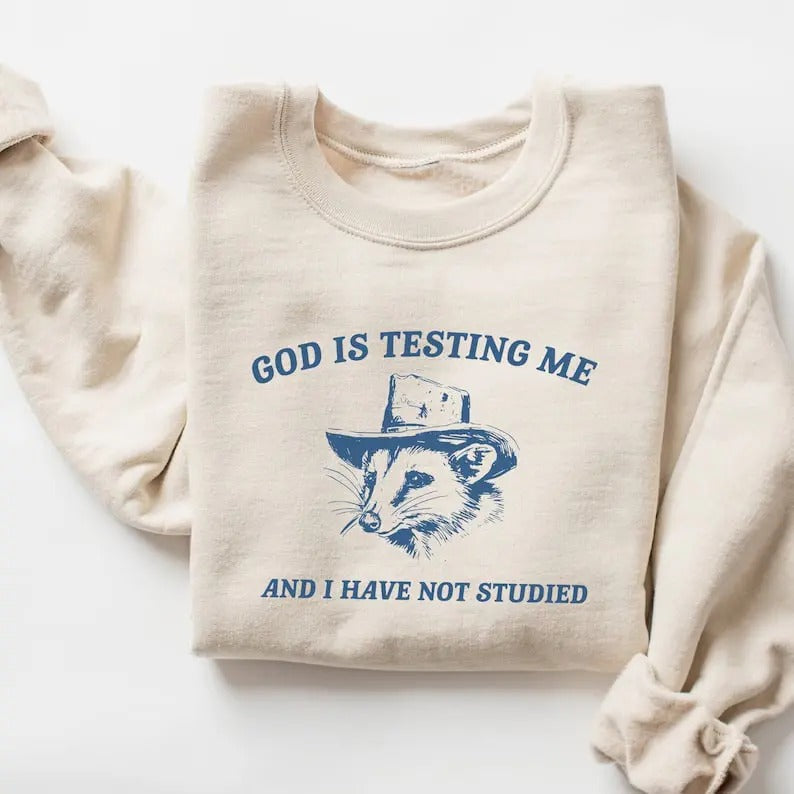 God Is Testing Me and I Have Not Studied Sweatshirt T-Shirts, Hoodie | DripVista.com