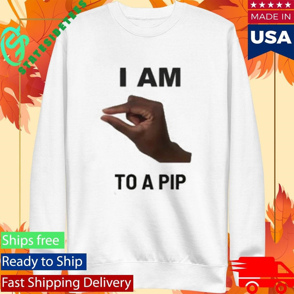 I Am This Close To A Pip Shirt