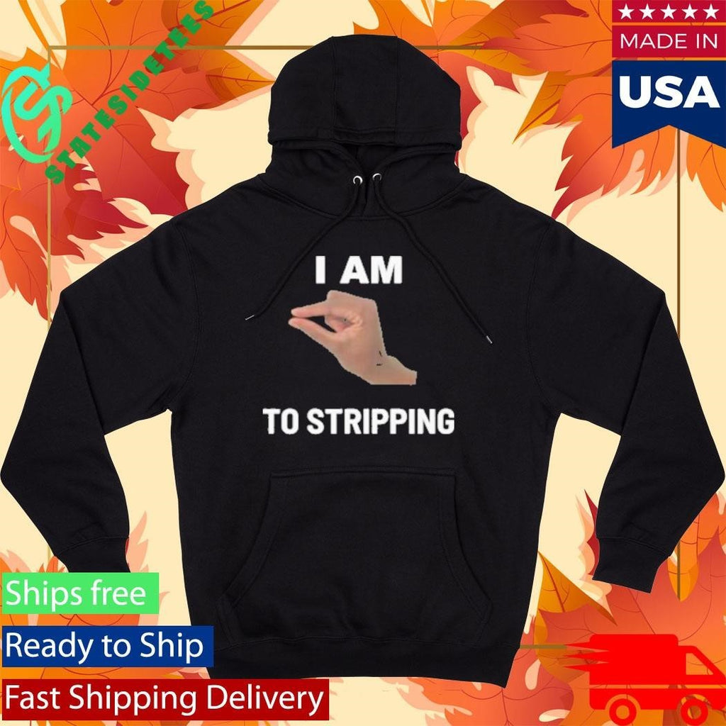 I Am This Close To Stripping V1 Shirt