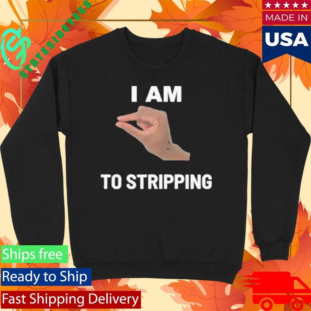 I Am This Close To Stripping V1 Shirt