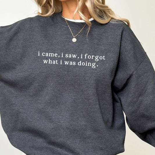 I Came I Saw I Forgot What I Was Doing Sweatshirt, Meme Long Sleeves Pullover, Sarcastic Women Gifts, Humorous Outfit, Funny Saying Sweater.