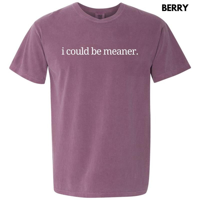 I Could Be Meaner Comfort Colors T-Shirt 'NLB' Hoodie, Sweatshirt | DripVista.com