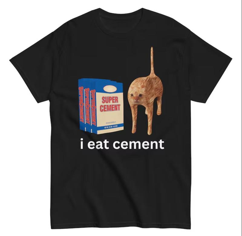 I Eat Cement, Funny Sarcastic Offensive Random Cat Meme