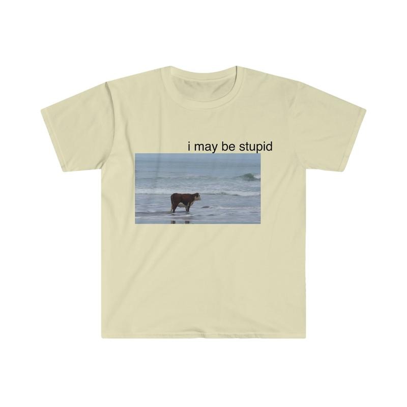 I May Be Stupid Cow On Beach Funny Meme Tshirt  sweater Hoodie, Sweatshirt | DripVista.com