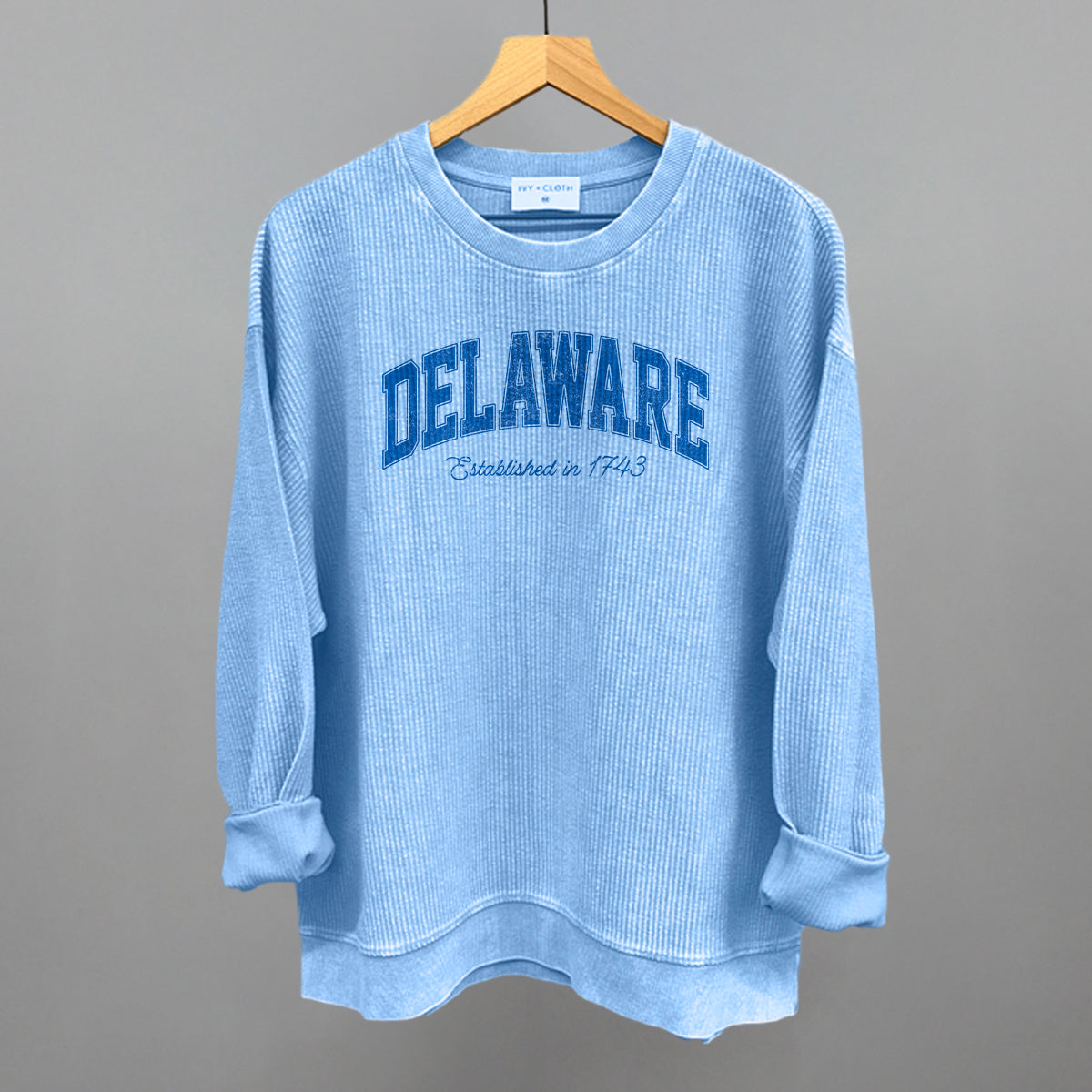 Delaware Varsity Arch