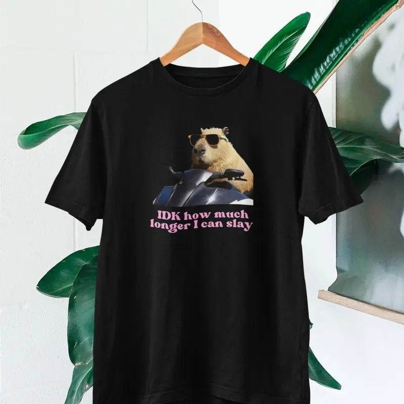 IDK How much longer I can slay T-shirt | Slay T-shirt | Funny top | TikTok fans Hoodie, Sweatshirt | DripVista.com