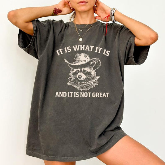 It Is Not Great Raccoon Shirt Comfort Colors, Funny Raccoon Meme Tshirt, Vintage Raccoon Tee, Sarcastic Shirt, Retro Trash Panda Tee, Casual Women's Tops, Womenswear, Relaxed Fit Chic Style