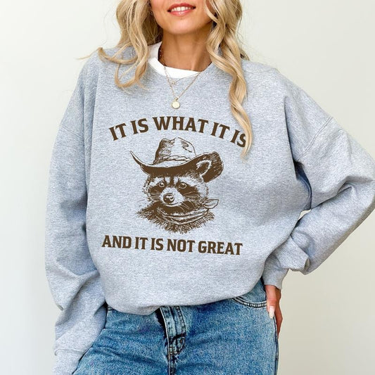 It Is Not Great Raccoon Sweatshirt, Funny Raccoon Meme Crewneck, Vintage Raccoon Sweater, Sarcastic Top, Retro Trash Panda Tee, Comfy Long Sleeve Pullover, Oversized Women's Tops, Casual Womenswear
