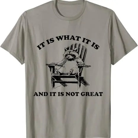 It Is What It Is And It Is Not Great Chillin Funny Raccoon Joke Meme Cartoon Funny Gift Tee TShirt