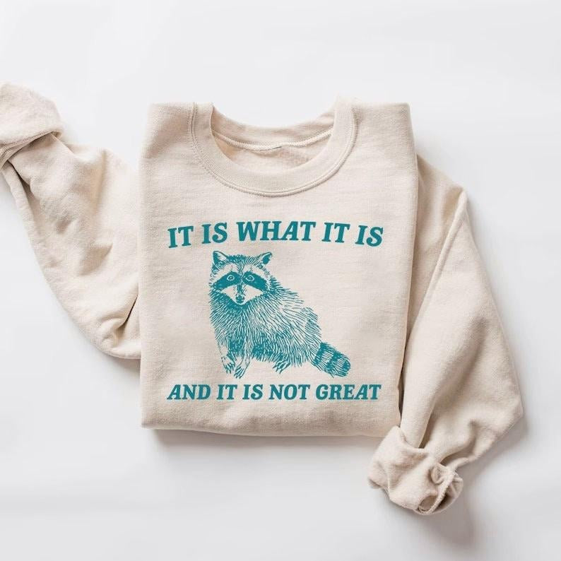 It Is What It Is And It Is Not Great Sweatshirt, Mental Health Sweatshirt, Funny Sweatshirt  sweater T-Shirts, Hoodie