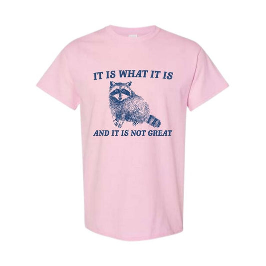It Is What It Is And It Is Not Great T-Shirt, Vintage Raccoon T-Shirt, Full Color, For Her, For Him, Full Color, Full Size