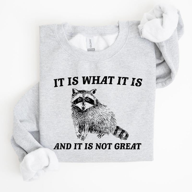 It Is What It Is And It Is Not Great, Raccoon, Funny, Aesthetic Sweatshirt T-Shirts, Hoodie | DripVista.com