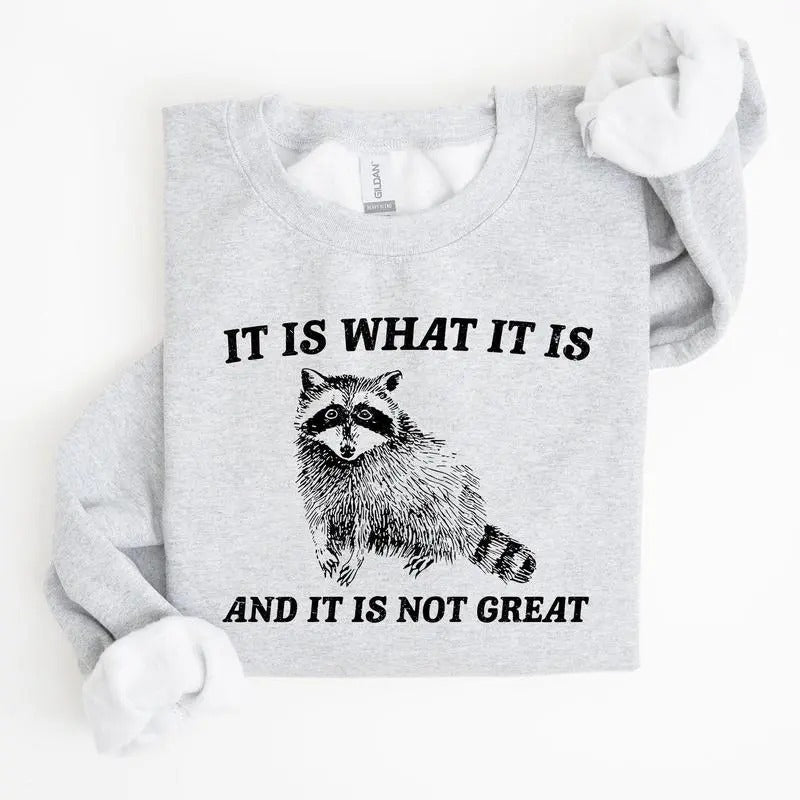 It Is What It Is And It Is Not Great, Raccoon, Funny, Aesthetic Sweatshirt Casual Cotton