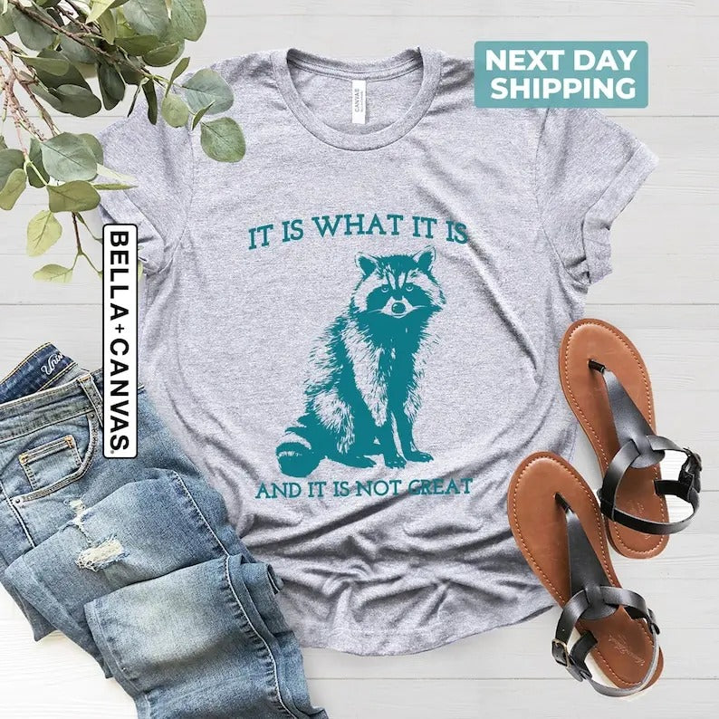 It Is What It Is And It Is Not Great, Vintage Drawing T Shirt, Raccoon Meme Shirt, Sarcastic Shirt, Mental Health Shirt,...