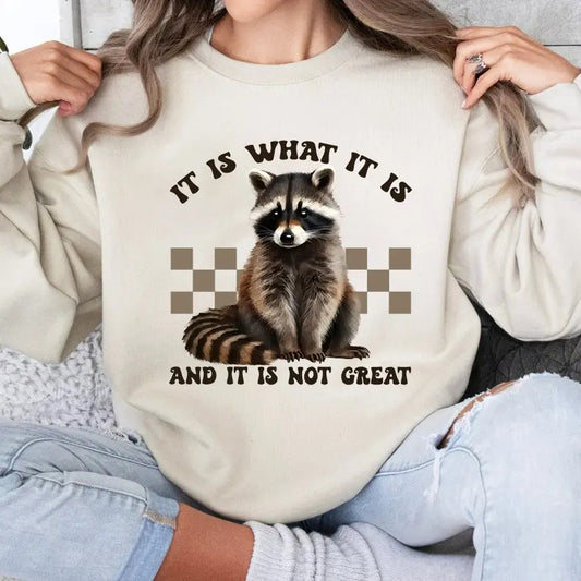 It Is What It Is And It Is not Great Sweatshirt, Vintage Racoon Meme Sweatshirt, Racoon Lover Sweatshirt, Animal Lover, Mental Health Shirt, Trendy Sweatshirt