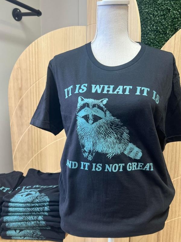 It is What it is and it is Not Great BLACK T-SHIRT - Raccoon Shirt - Funny Tee