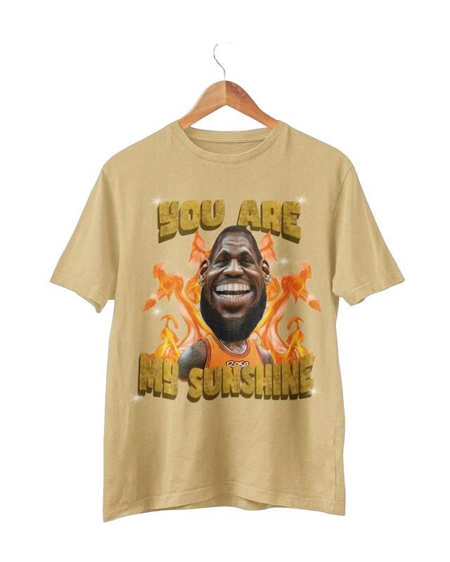 L James sunshine viral T-shirt Sweatshirt Hoodie | DripVista.com