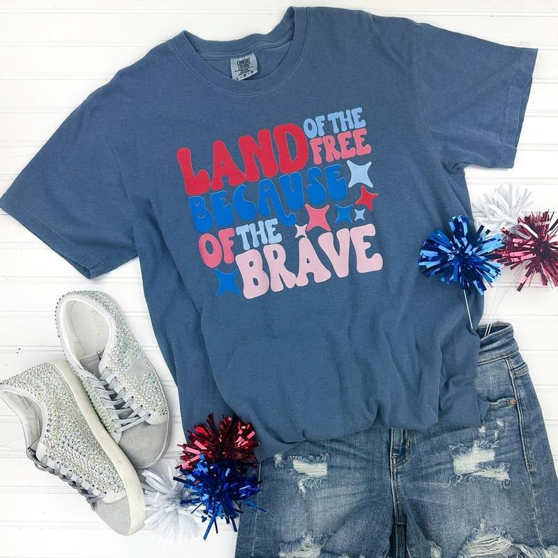 Land Of The Free Comfort Colors T-Shirt Hoodie, Sweatshirt | DripVista.com