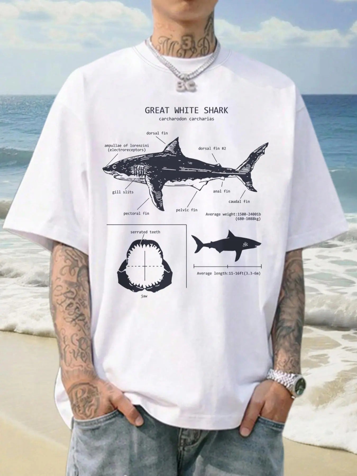 Men'WB shield Regular Fit Letter & Shark Print Drop Shoulder Tee, Casual Comfy Round Neck Half Sleeve T-shirt for Summer,...