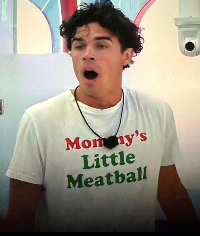 Mommy's Little Meatball Shirt, Italian Shirt, Ironic, New York City, Little Italy, I Love NY, Canal Street Shirt, Funny Meme