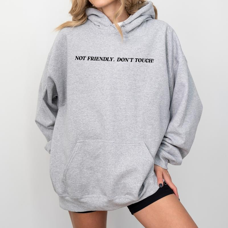 Not Friendly Do Not Touch Unisex Hoodie, Adult Humor Graphic Hoodies, Funny Saying Hoodie, Sarcastic Downtown Outfits, Christmas Gifts