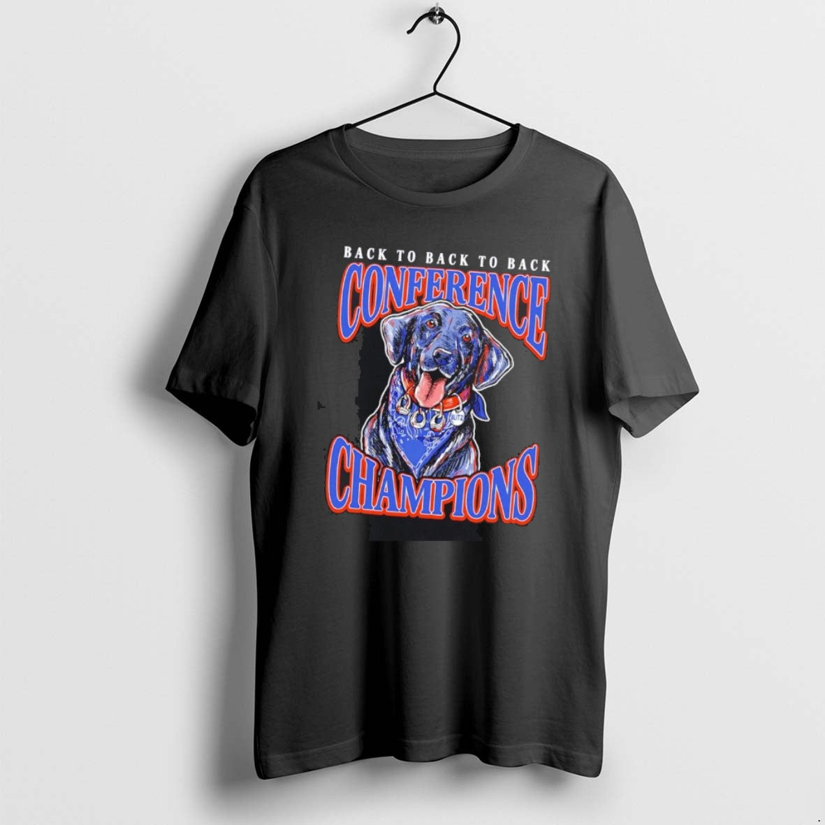 Official Boise State Broncos 2025 Back To Back Conference Champions Mascot T-Shirts, Hoodie, Sweatshirt | DripVista.com