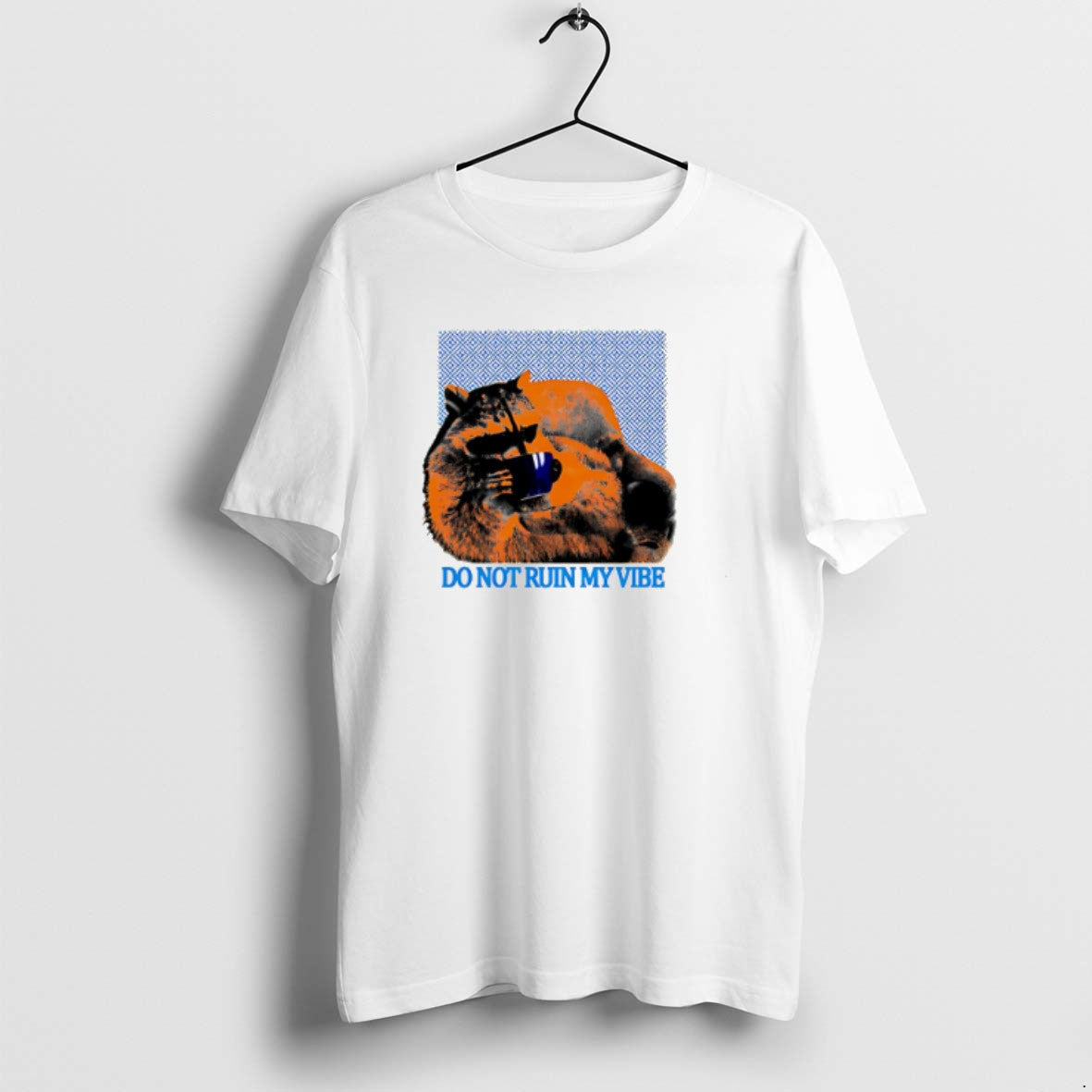 Official Do Not Ruin My Vibe Raccoon Trash Panda T-Shirts, Hoodie, Sweatshirt | DripVista.com
