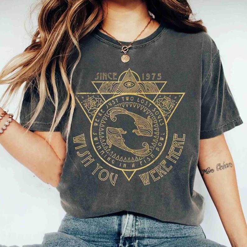 Oldd School Band Tee, Pinkk Band shirt retro band shirt, wish you were here Shirt, Rock Festival tee, graphic...