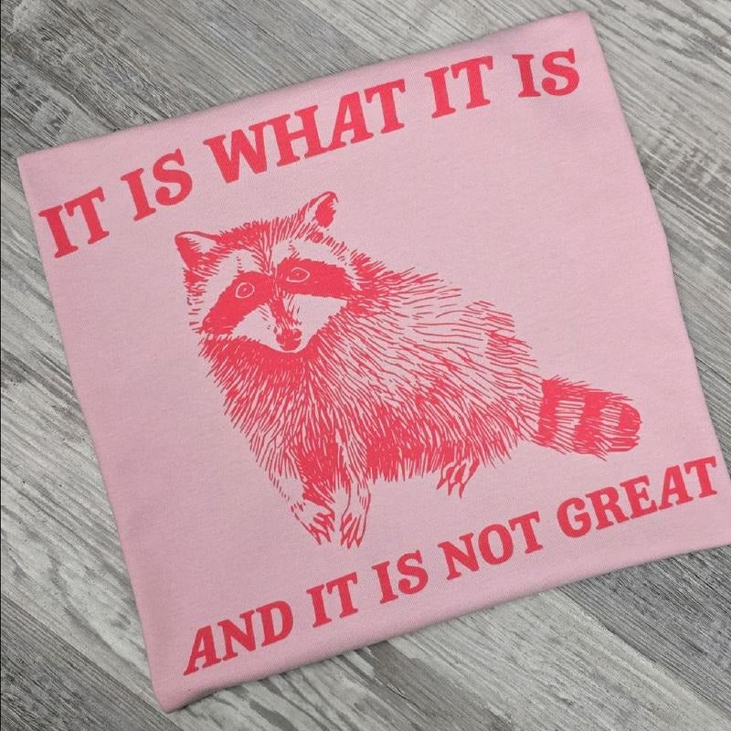 PINK It is what it is and it is not great Graphic Tee or Sweatshirt funny Hoodie | DripVista.com