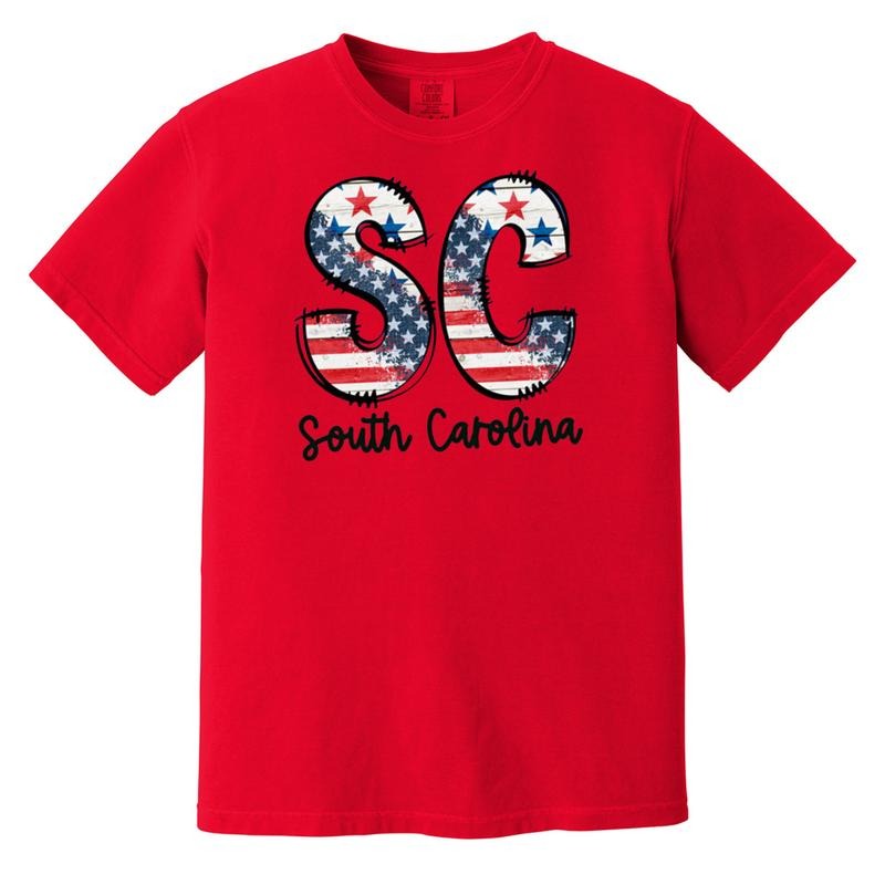 Patriotic States Comfort Colors Red T-Shirt Hoodie, Sweatshirt | DripVista.com