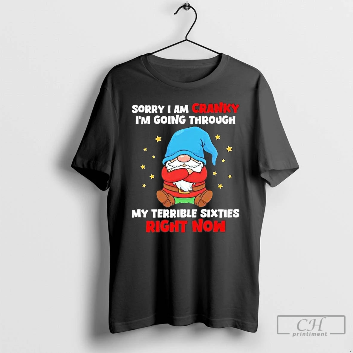 Premium Gnome Sorry I Am Cranky Im Going Through My Terrible Sixties T Shirts Sweater Hoodie, Sweatshirt | DripVista.com