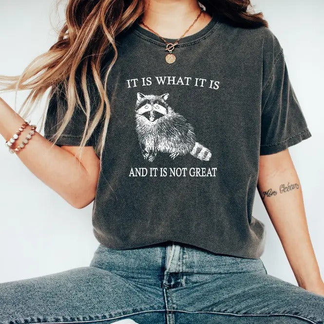 Raccoon Meme Shirt,It Is What It Is And It Is Not Great Shirt,Funny Mood Sweatshirt,Vintage Drawing Shirt,Trendy Shirt,Raccoon Shirt,funny