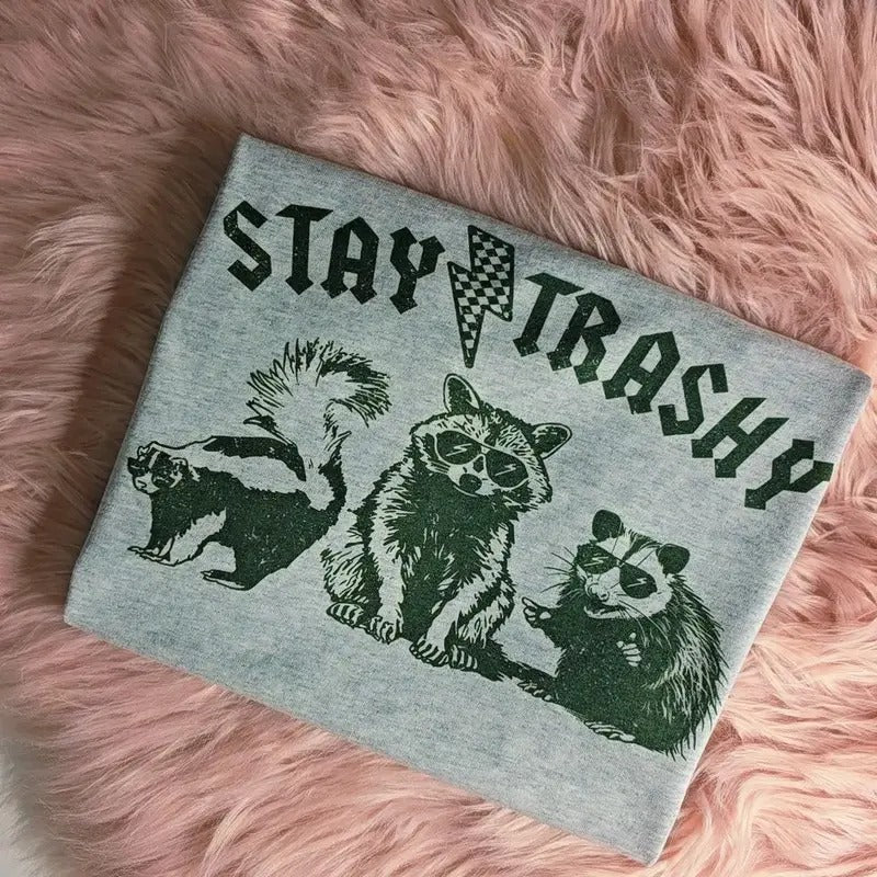 Stay Trashy Raccoon Graphic Tee Loose fit Hoodie, Sweatshirt | DripVista.com