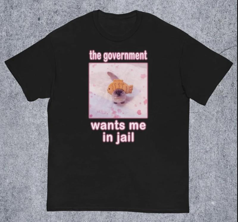 The Government Wants Me in Jail Funny Cat Meme T-shirt