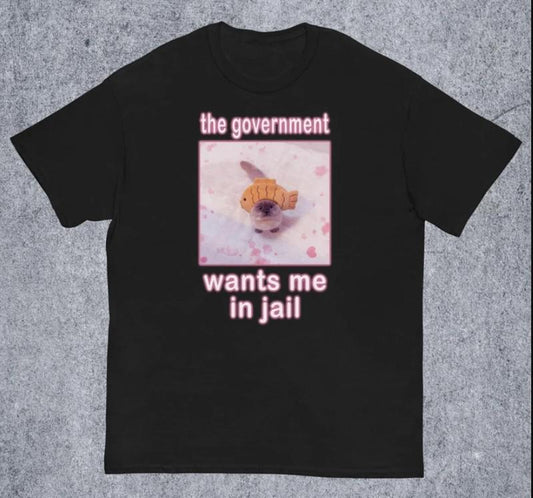 The Government Wants Me in Jail Funny Cat Meme T-shirt