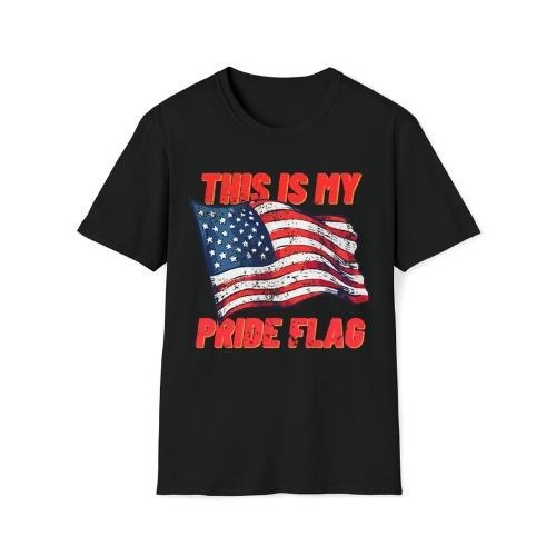 This Is My Pride Flag T-shirt USA US United States of America American made in usa