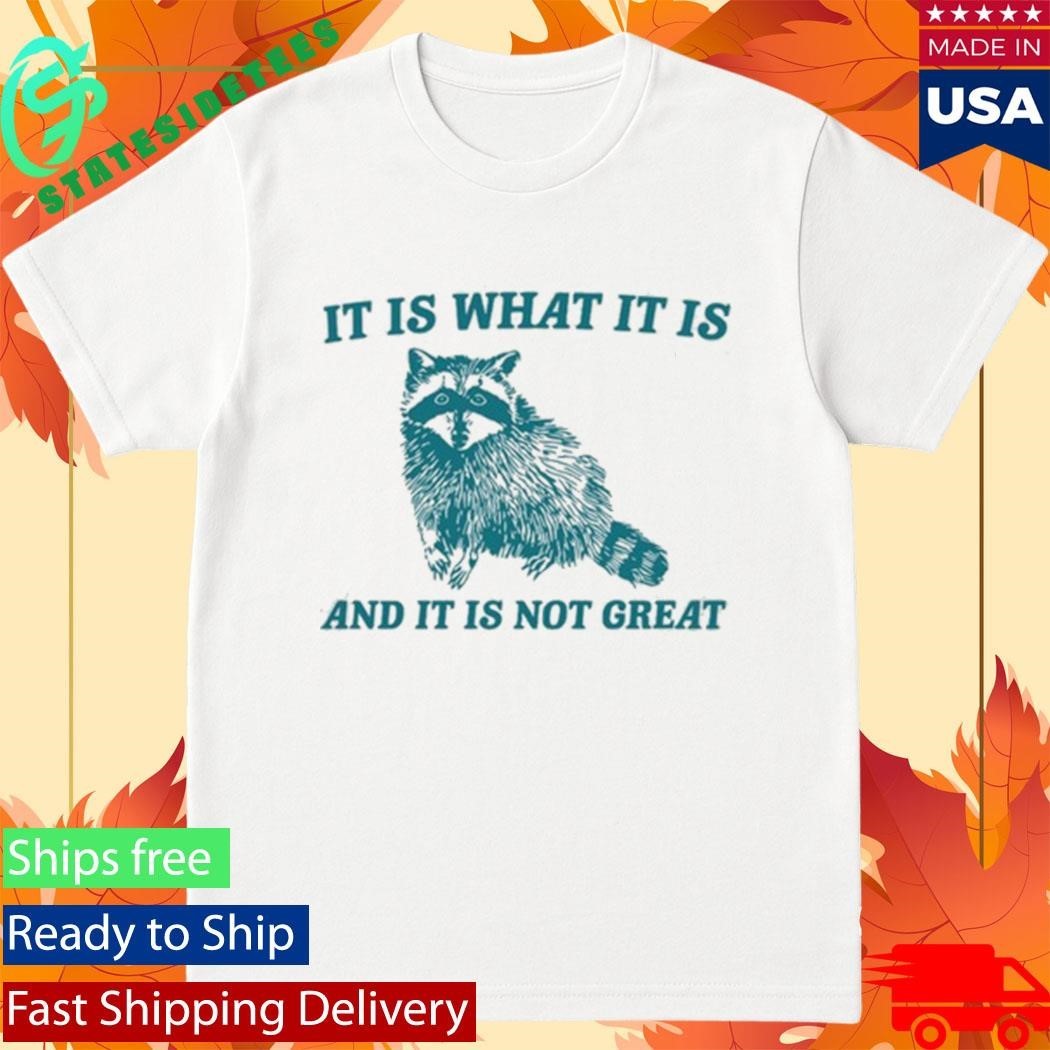 Tracketpacer Racoon It Is What It Is And It Is Not Great Shirt
