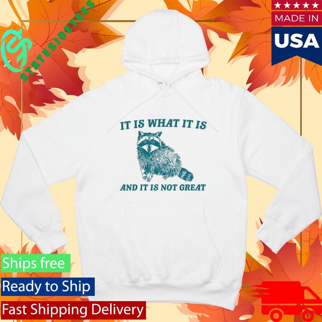 Tracketpacer Racoon It Is What It Is And It Is Not Great Shirt