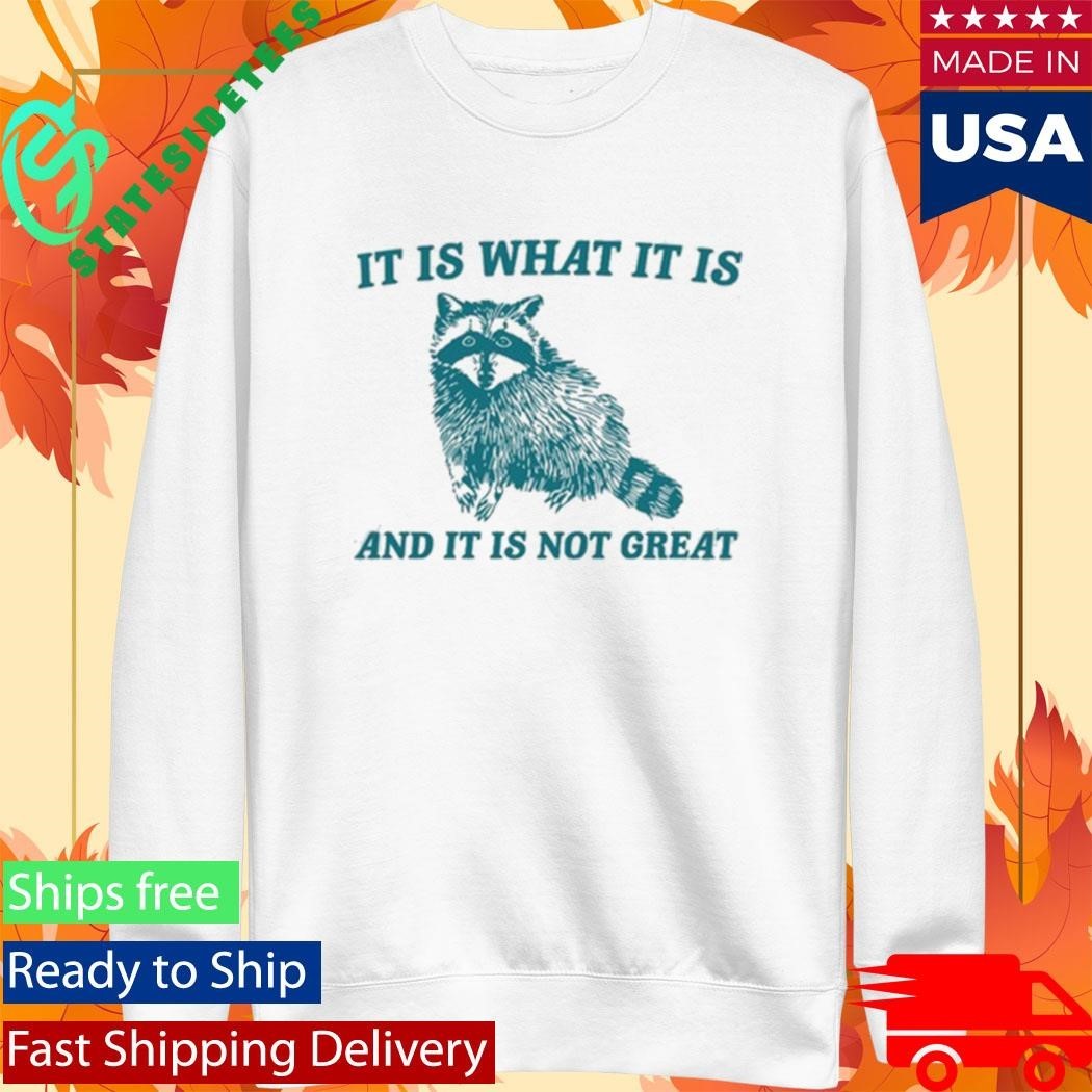 Tracketpacer Racoon It Is What It Is And It Is Not Great Shirt