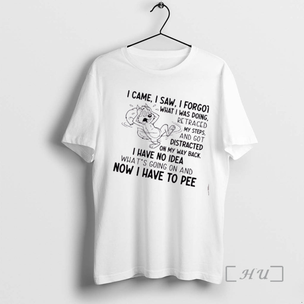 Trending Squirrel I Came I Saw I Forgot What I Was Doing Retraced My Steps T-Shirts, Hoodie, Sweatshirt | DripVista.com