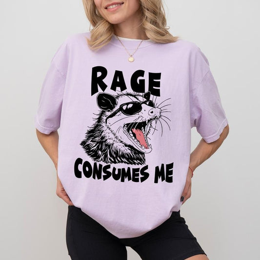 Vintage Funny Angry Opossum Comfort Colors Shirt, Retro Meme Rage Consumes Me Tee, Weird Funny Stuff Clothing