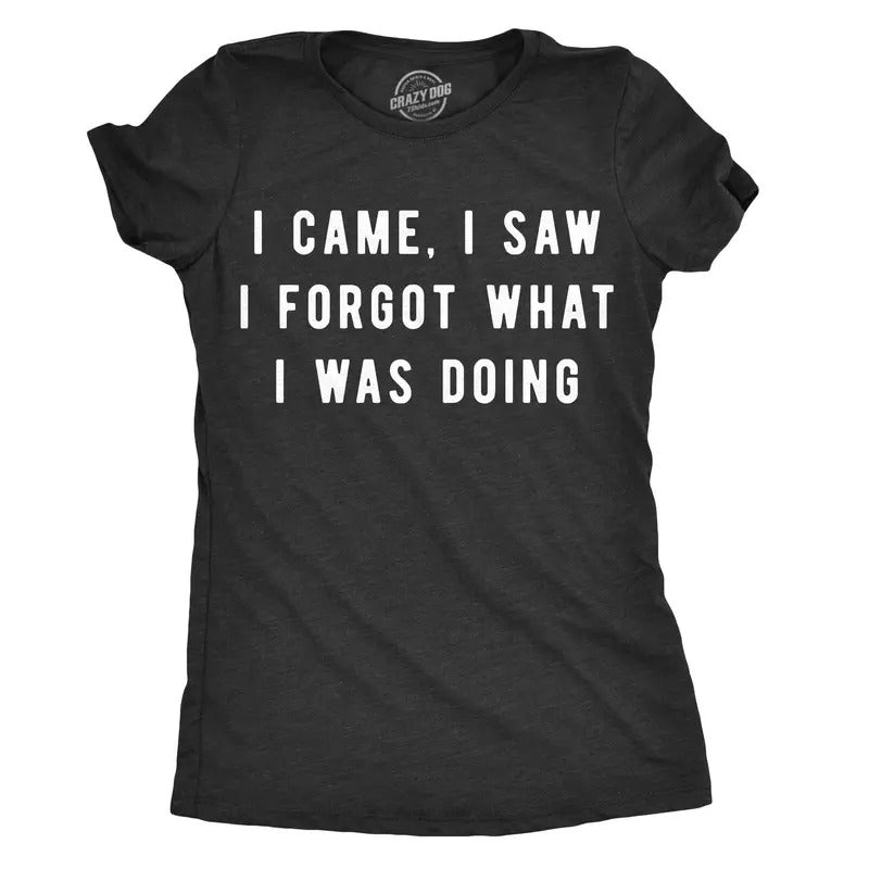Womens I Came I Saw I Forgot What I Was Doing T Shirt Funny Sarcastic Tee For Ladies Funny Womens T Shirts Cute Slimming Top Comfortable Soft Womenswear Funny Sarcastic Top Women's Novelty Tees Black - I