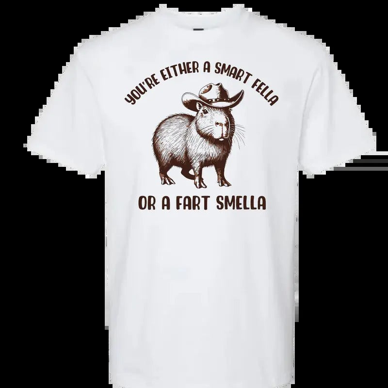 You're Either a Smart Fella or Fart Smella My T-Shirt Hoodie, Sweatshirt | DripVista.com