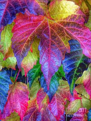 Autumn Bold Print