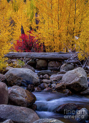 Autumn Carson River Print
