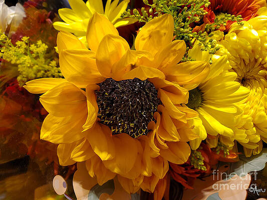 Brilliance Of Being A Sunflower Print
