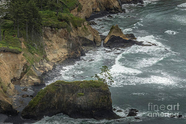 Cape Foulweather Oregon Print