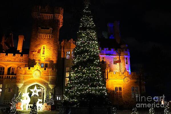 Christmas Tree At Casa Loma Print