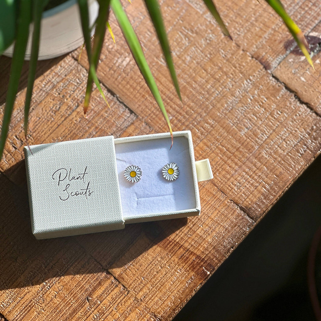 Daisy Earrings Hypoallergenic Stainless Steel Flower Earring